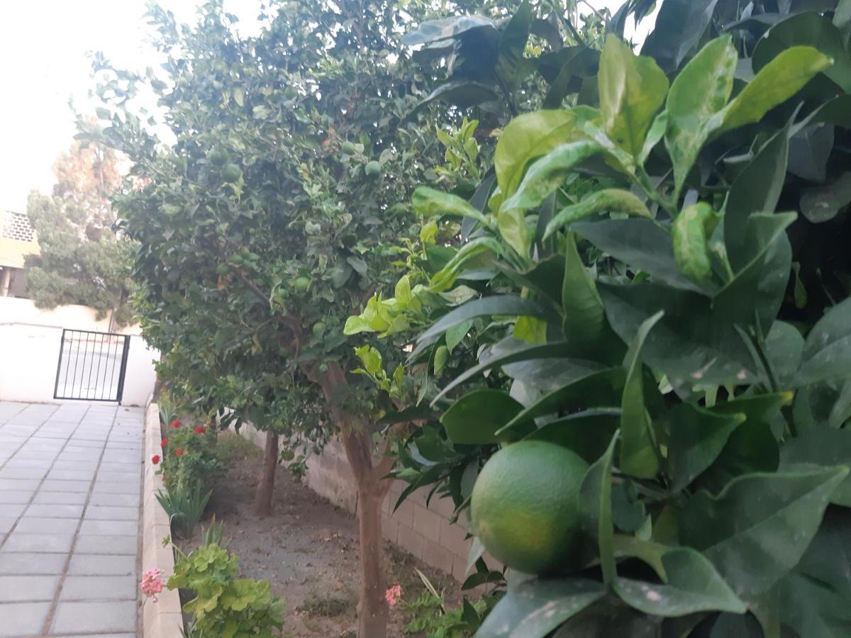 House Near The Beach بيرفوليا المظهر الخارجي الصورة
